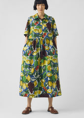 Selma Sketched Fruit Print Shirt Dress | Verdigris/Multi