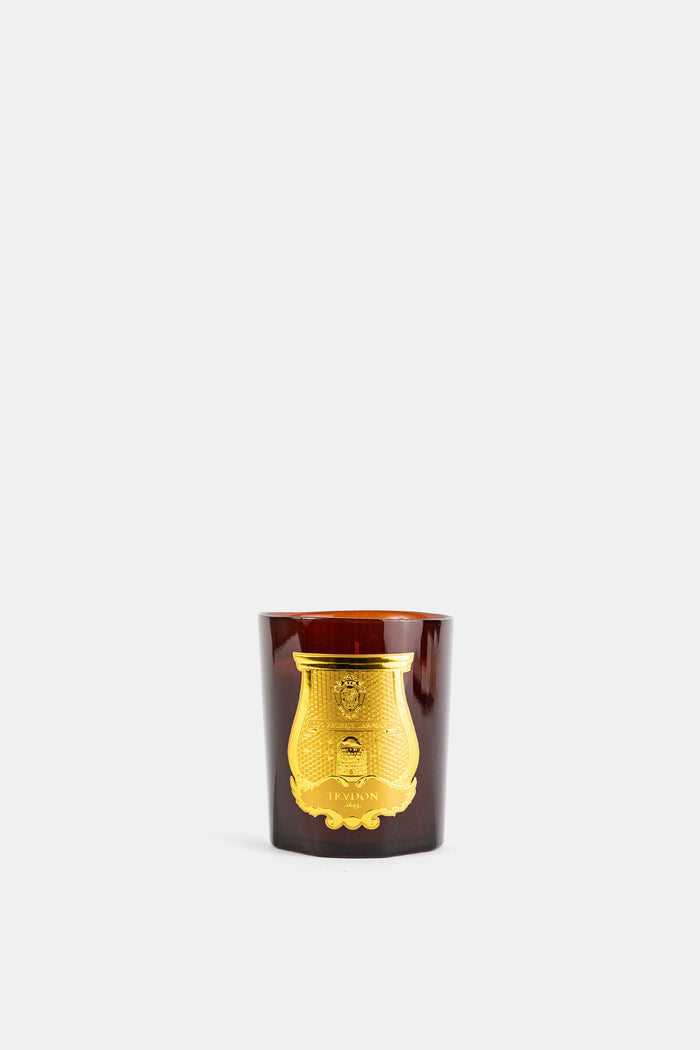 Trudon bougie Absolu cire d'abeille 270g verre ambré brun Yakusugi médaillon doré FW26