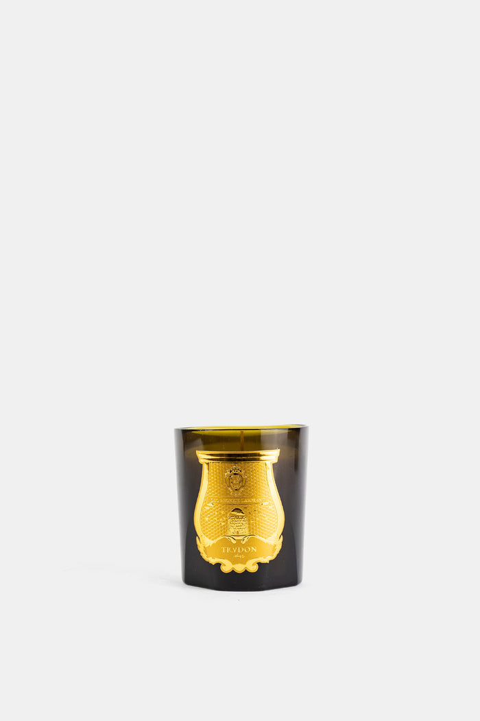 Trudon bougie classique Joséphine 270g verre teinté Yakusugi vert brun médaillon doré
