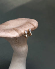 The Leighton Teardrop Huggies by Mod + Jo, featuring gold plating and sparkling cubic zirconia accents, are displayed atop a beige mushroom.