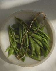 The Molly Elongated Link Chain Necklace by Mod + Jo, featuring a gold plate and elongated links, rests gracefully atop fresh green pea pods in a white bowl on a light-colored surface, illuminated by soft natural light and gentle shadows.