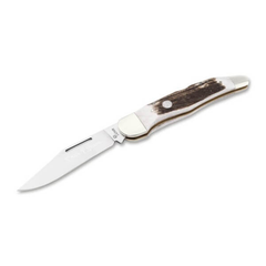TS 2.0 Folding Hunter One Blade Stag D2 | BKR110870