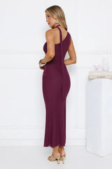 Aurora Elegance One Shoulder Mesh Maxi Dress Plum