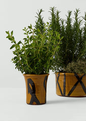 Hoxton Gardenware Small Slipware Planter | Honey
