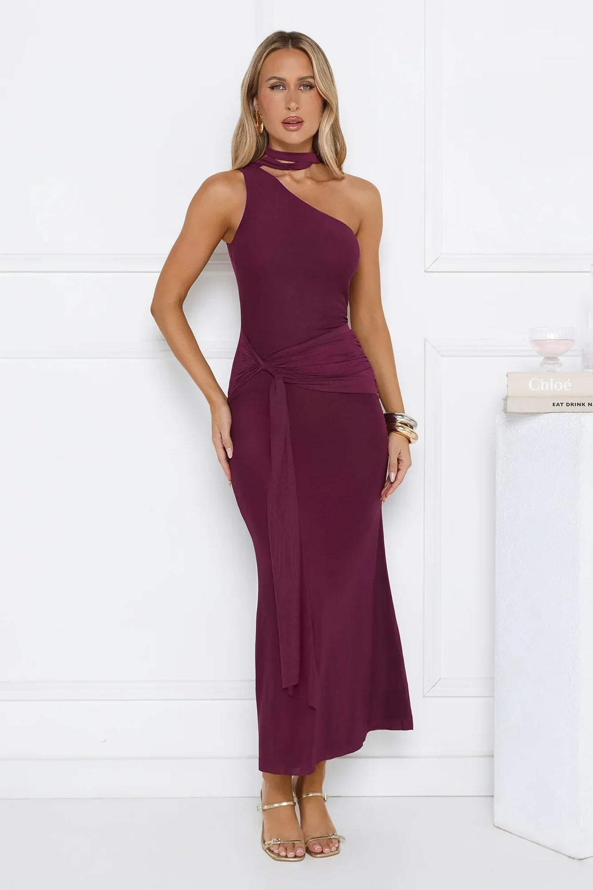 Aurora Elegance One Shoulder Mesh Maxi Dress Plum