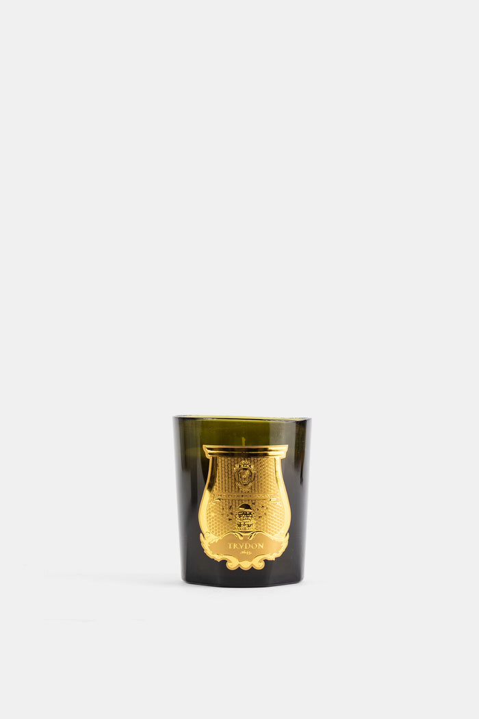 Trudon bougie classique Gabriel 270g en verre vert fumé avec medallion doré, collection FW26