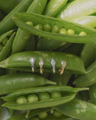 Four Leighton Teardrop Huggies by Mod + Jo are displayed on opened pea pods, surrounded by fresh green peas and pods, their brilliant stones sparkling under the light.