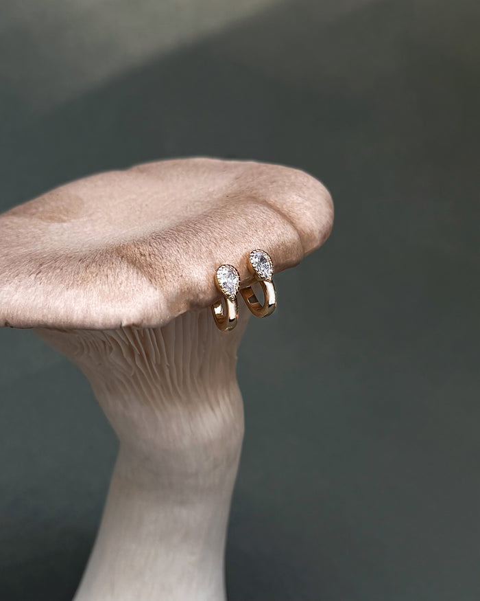 The Leighton Teardrop Huggies by Mod + Jo, featuring gold plating and sparkling cubic zirconia accents, are displayed atop a beige mushroom.